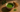 Hochwertiger Matcha als visuelle Title Story für EGCG in Matcha