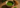 Hochwertiger Matcha als visuelle Title Story für EGCG in Matcha