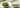 Matcha Pulver und cremiger Matcha Latte