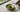 Matcha Tee Teegschwendner als Featured Image