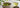 Matcha Pulver und gruener Tee werden nebeneinander verglichen