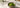 Lebepur Matcha als Featured Image