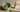 Matcha Bürste als Featured Image