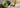 Matcha Bürste als Featured Image