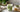 Matcha Latte Zubereitung mit Glas und Schale
