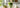 Was ist iced matcha latte als ruhige Matcha-Routine