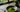 Nucao Matcha als Featured Image