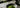 Nucao Matcha als Featured Image