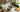 Matcha als klare Routine statt Detox-Kur