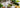 Matcha als klare Routine statt Detox-Kur