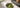 Matcha Cup als Featured Image