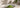 One And Only Matcha als Featured Image