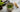Matcha Tee wird mit Pulver und Wasser zubereitet