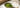Matcha More als Featured Image