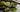 Matcha Green Tea Cookies als Featured Image