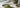 Matcha Coffee als Featured Image