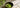 Guten Matcha als Featured Image