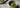Matcha Kerze als Featured Image