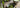 Matcha Cappuccino als Featured Image