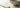 Kleine Menge Matcha Pulver auf Bambuslöffel neben Schale