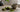 Matcha Biscuits als Featured Image