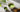 Pure Matcha Pulver mit frisch aufgeschlagener Schale