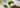 Pure Matcha Pulver mit frisch aufgeschlagener Schale