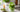 Matcha Rezepte Kalt als Featured Image