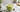 Chai Matcha Latte als Featured Image