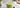 Chai Matcha Latte als Featured Image