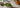 Matcha Mate Tea als Featured Image