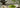 Ist Matcha Grüner Tee als Featured Image