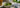 Matcha Love Tea als Featured Image