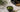 Matcha Test als Featured Image