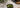 Matcha Test als Featured Image