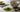 Matcha Vanille als Featured Image
