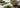 Matcha Vanille als Featured Image