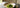Horii Shichimeien Matcha als Featured Image