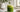 Cremiger Matcha Latte im klaren Glas