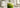 Cremiger Matcha Latte im klaren Glas