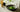 Xoxo Matcha als Featured Image