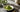 Karu Hitotsu Matcha als Featured Image