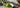 Karu Hitotsu Matcha als Featured Image