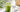 Kalter Matcha wird mit Eis serviert