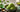 Cremige Matcha Eiscreme in einer Schale