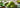 Cremige Matcha Eiscreme in einer Schale