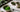 Matcha And Tea als Featured Image