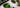 Matcha And Tea als Featured Image