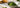 Matcha Testing als Featured Image