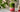 Raspberry Matcha Tea mit Himbeere und gruener Matcha-Schichtung